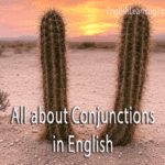 A sunset desert landscape featuring two tall cacti with the text overlay "All about Conjunctions in English."