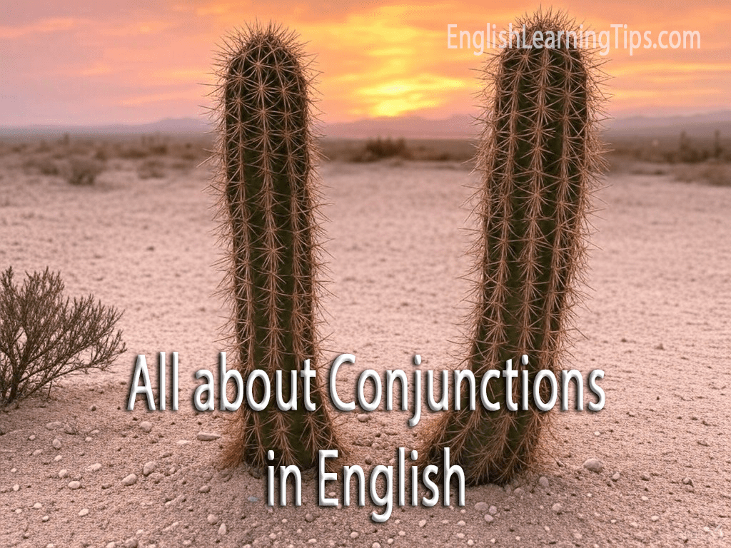 A sunset desert landscape featuring two tall cacti with the text overlay "All about Conjunctions in English."