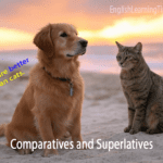 A dog and a cat sitting together with text overlay saying Dogs are better than cats to demonstrate the comparative adjective better.