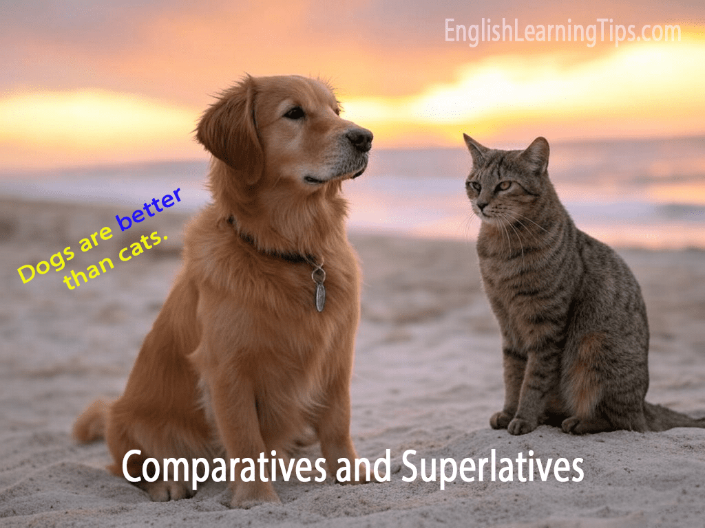 A dog and a cat sitting together with text overlay saying Dogs are better than cats to demonstrate the comparative adjective better.