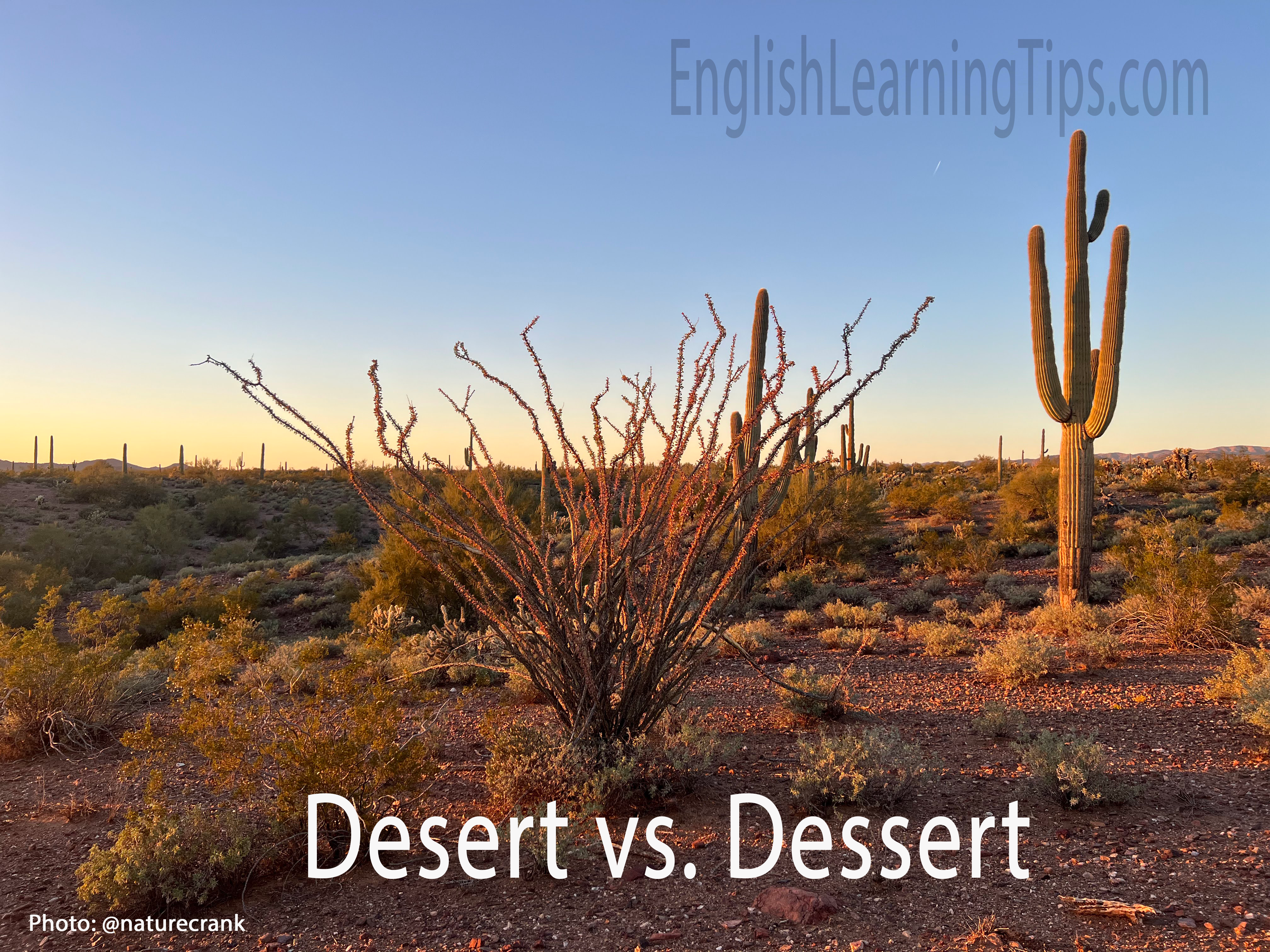A vast, desert landscape under a clear sky, illustrating the single 's' spelling of desert.