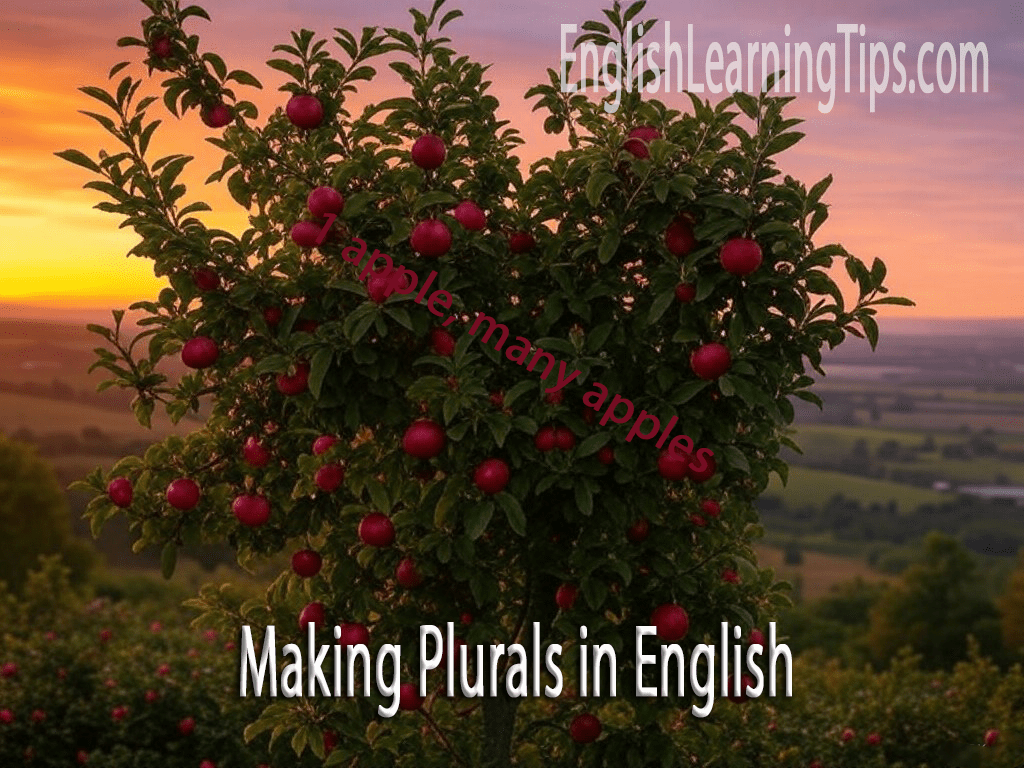 An apple tree in a field at sunset used to demonstrate English plural rules: 1 apple becomes many apples.