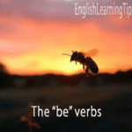 Illustration of a bee with text overlay describing the 8 forms of be verbs in English grammar.