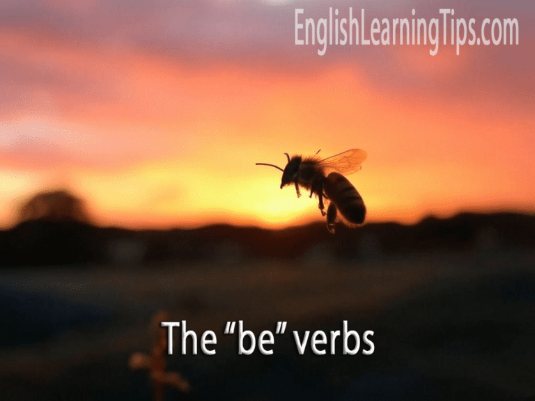 A complete guide to be verbs: Conjugation, rules, and examples ...