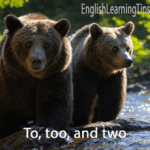 To, too, and two