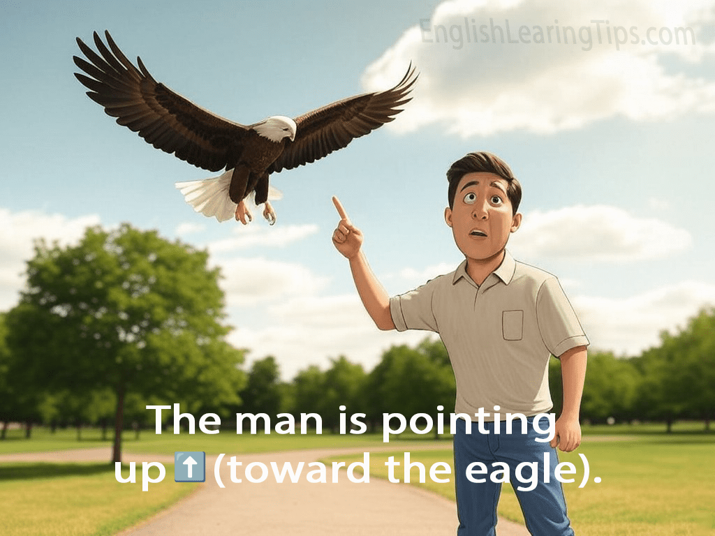 A cartoon of a man pointing his finger upward toward an eagle in the sky with the text: "The man is pointing up (toward the eagle)."