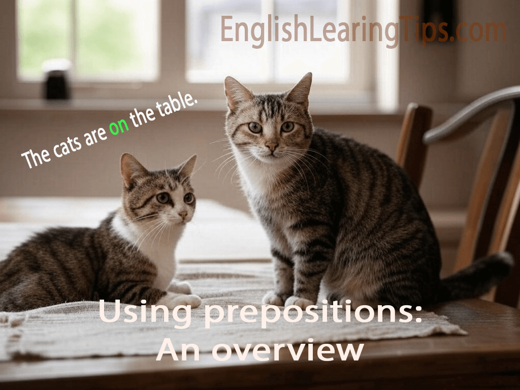 Cats sitting on a wooden table illustrating the preposition of place "on".
