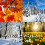 A four-quadrant collage representing the seasons—autumn leaves, snowy winter trees, a spring flower field, and a bright summer sun—with the text 'Vocabulary for Seasons (advanced)'.
