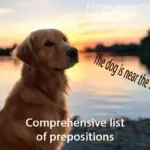 A dog sitting near the water at sunset illustrating the preposition "near."