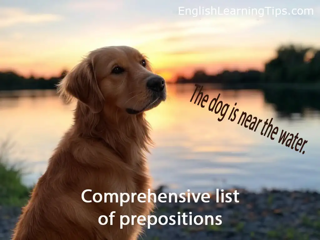 A dog sitting near the water at sunset illustrating the preposition "near."