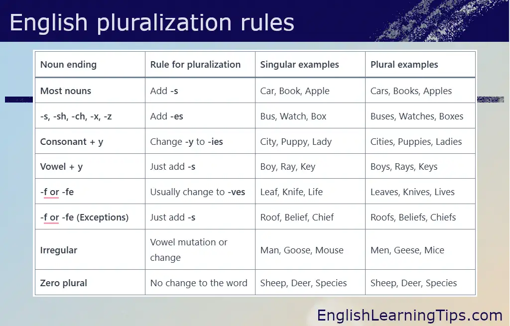 A comprehensive chart showing English pluralization rules including -s, -es, -ies, and irregular noun forms with examples.