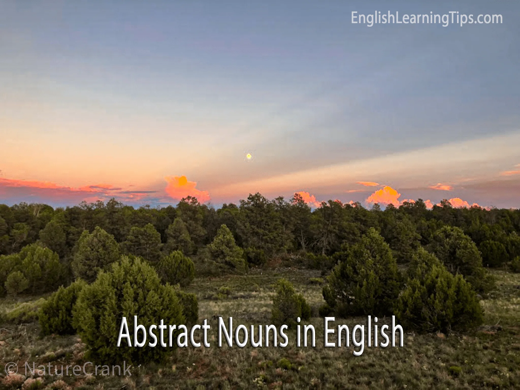 Abstract Nouns in English