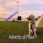 A white dog sitting on grass next to a tent outdoors with a lake in the background, illustrating the adverb of place "outdoors."