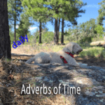 Educational image defining Adverbs of Time, featuring a dog in a forest setting with example text.