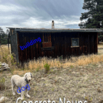 A dog and a wooden building in a field used as examples of concrete nouns.