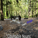 wo dogs in a forest clearing next to a picnic table, used as an example of countable nouns.