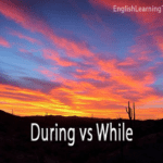 A vibrant sunset over a desert landscape with cacti, featuring the text "During vs While" to illustrate the difference between these two temporal prepositions.