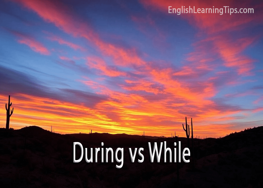 A vibrant sunset over a desert landscape with cacti, featuring the text "During vs While" to illustrate the difference between these two temporal prepositions.