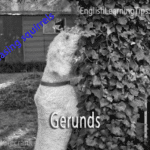 Gerunds in English