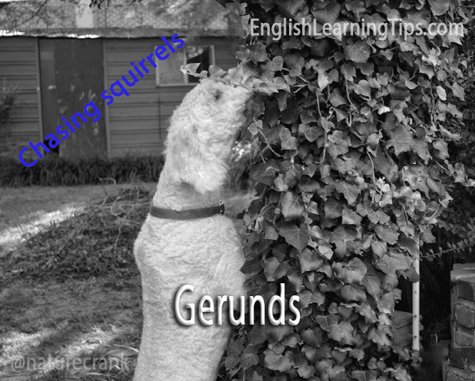 Gerunds in English