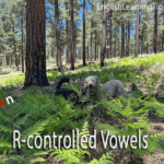 A white dog and a black dog standing in a field of green ferns in a forest, with the word "fern" in red text and "R-controlled Vowels" at the bottom.