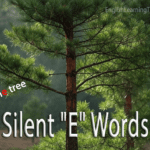 Educational graphic showing a pine tree with the words "Pine tree" highlighting the silent E, used for teaching English phonics.