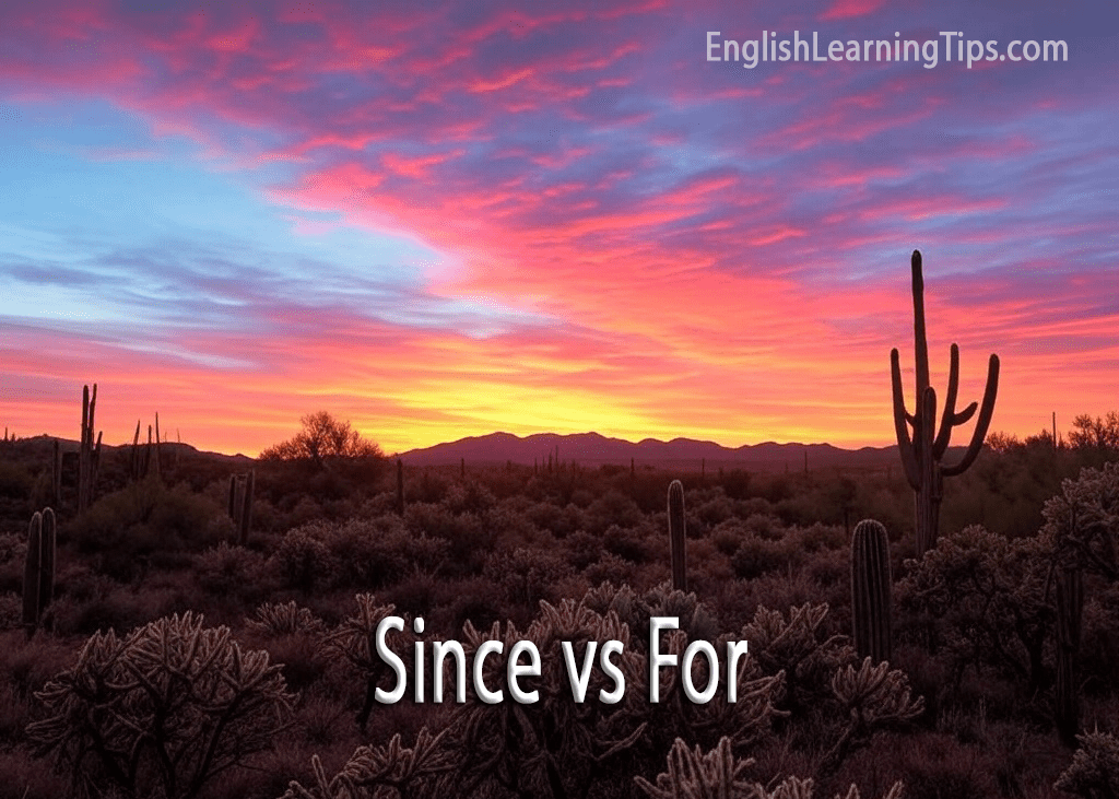 Since vs For in English