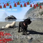 A beach scene with two dogs featuring text that reads "Telling the Date in English" and "December 24th, 2025" as an example of American date formatting.