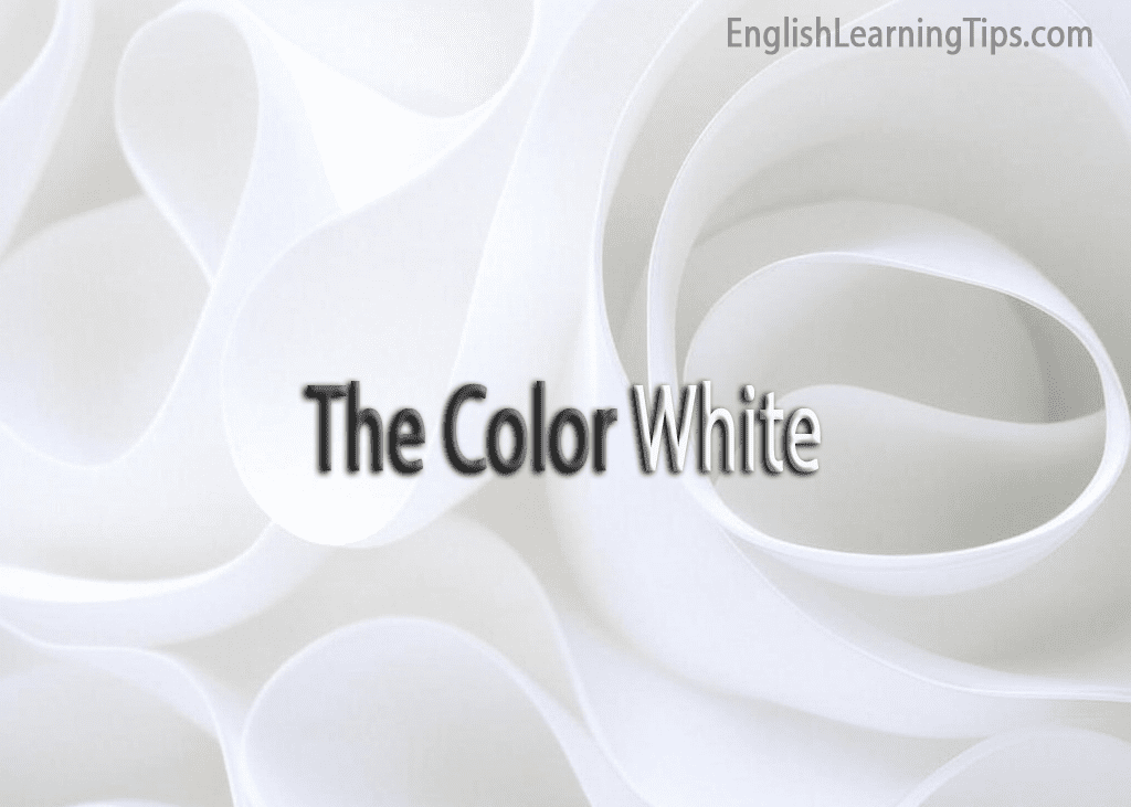 Bright white abstract background with clean, soft shadows