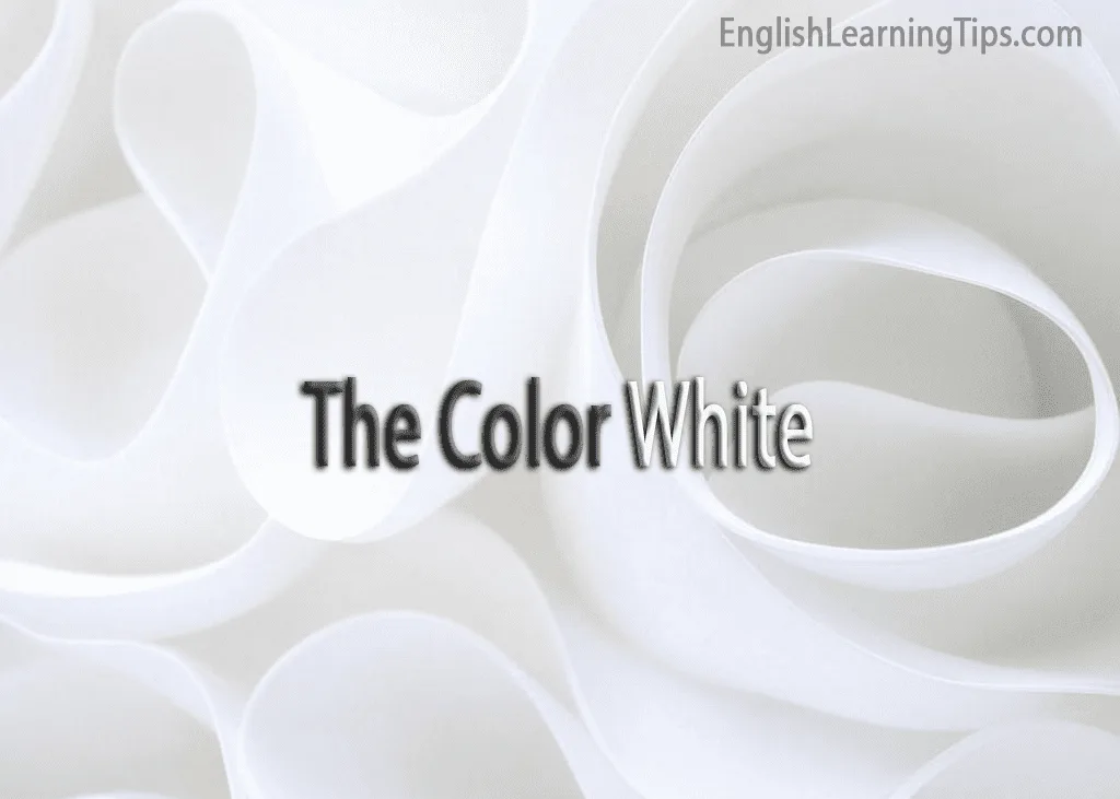 Bright white abstract background with clean, soft shadows