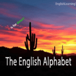 A silhouette of a Saguaro cactus against a vibrant orange and purple sunset with the text "The English Alphabet" and "D is for desert."