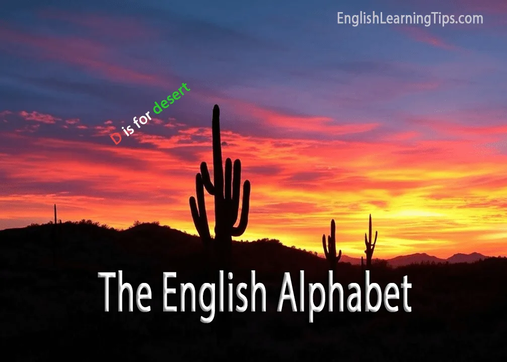 A silhouette of a Saguaro cactus against a vibrant orange and purple sunset with the text "The English Alphabet" and "D is for desert."