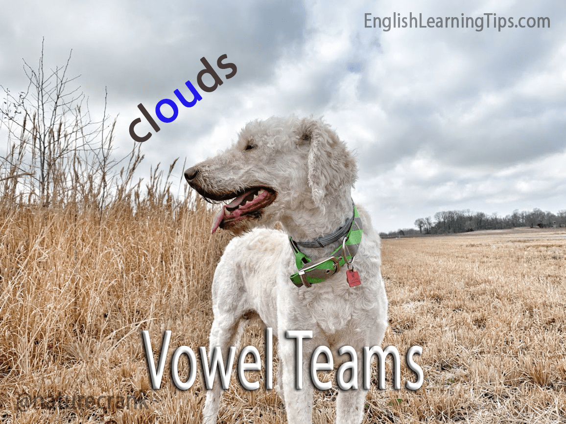 A white fluffy dog in a field with the word "clouds" above it, highlighting the "ou" vowel team in blue.