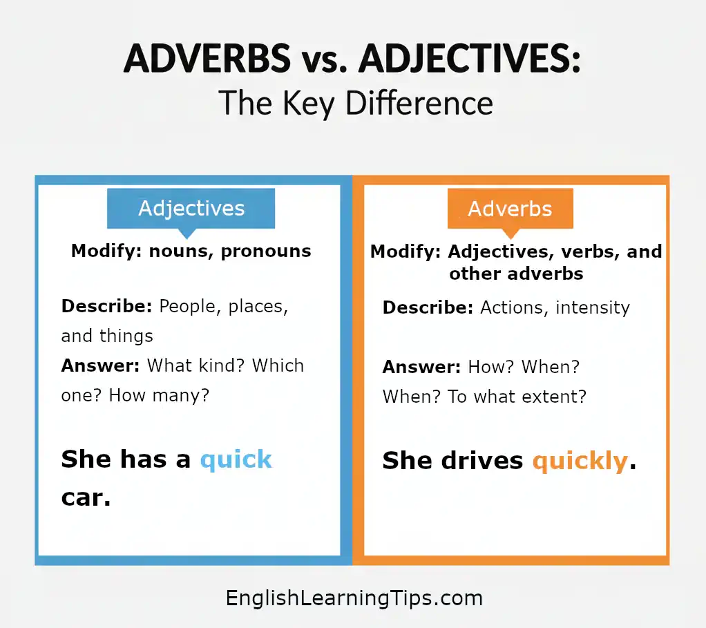 An educational grammar infographic comparing adverbs and adjectives, showing how adjectives modify nouns while adverbs modify verbs, adjectives, and other adverbs with clear example sentences.