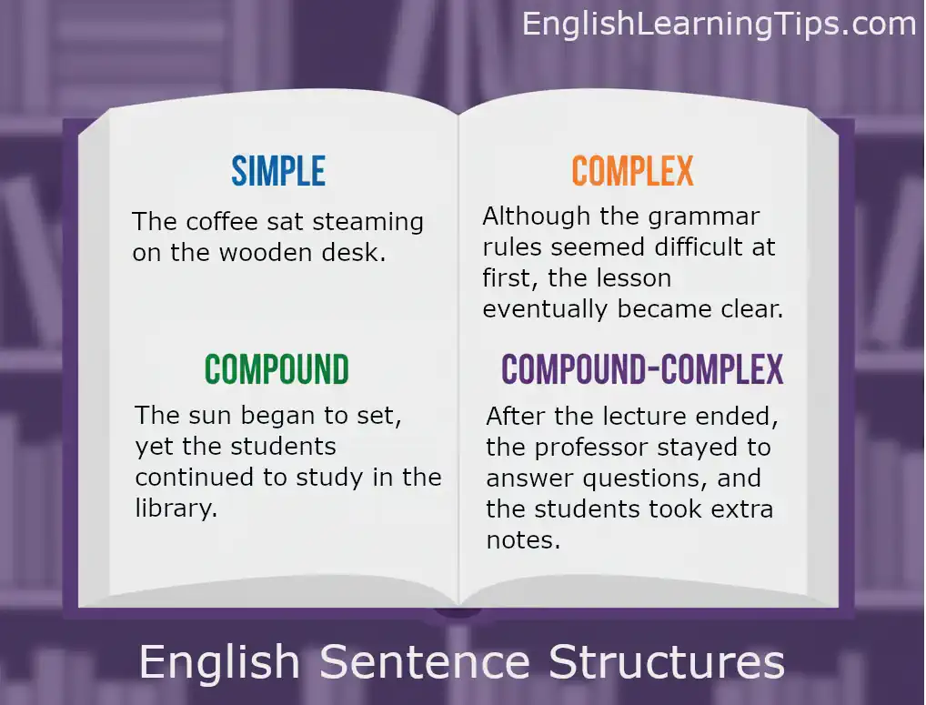 An infographic showing the four English sentence structures—Simple, Compound, Complex, and Compound-complex—with example sentences for each in an open book.
