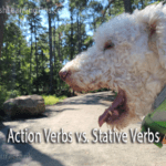 Action Verbs vs. Stative Verbs
