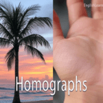 Homographs in English