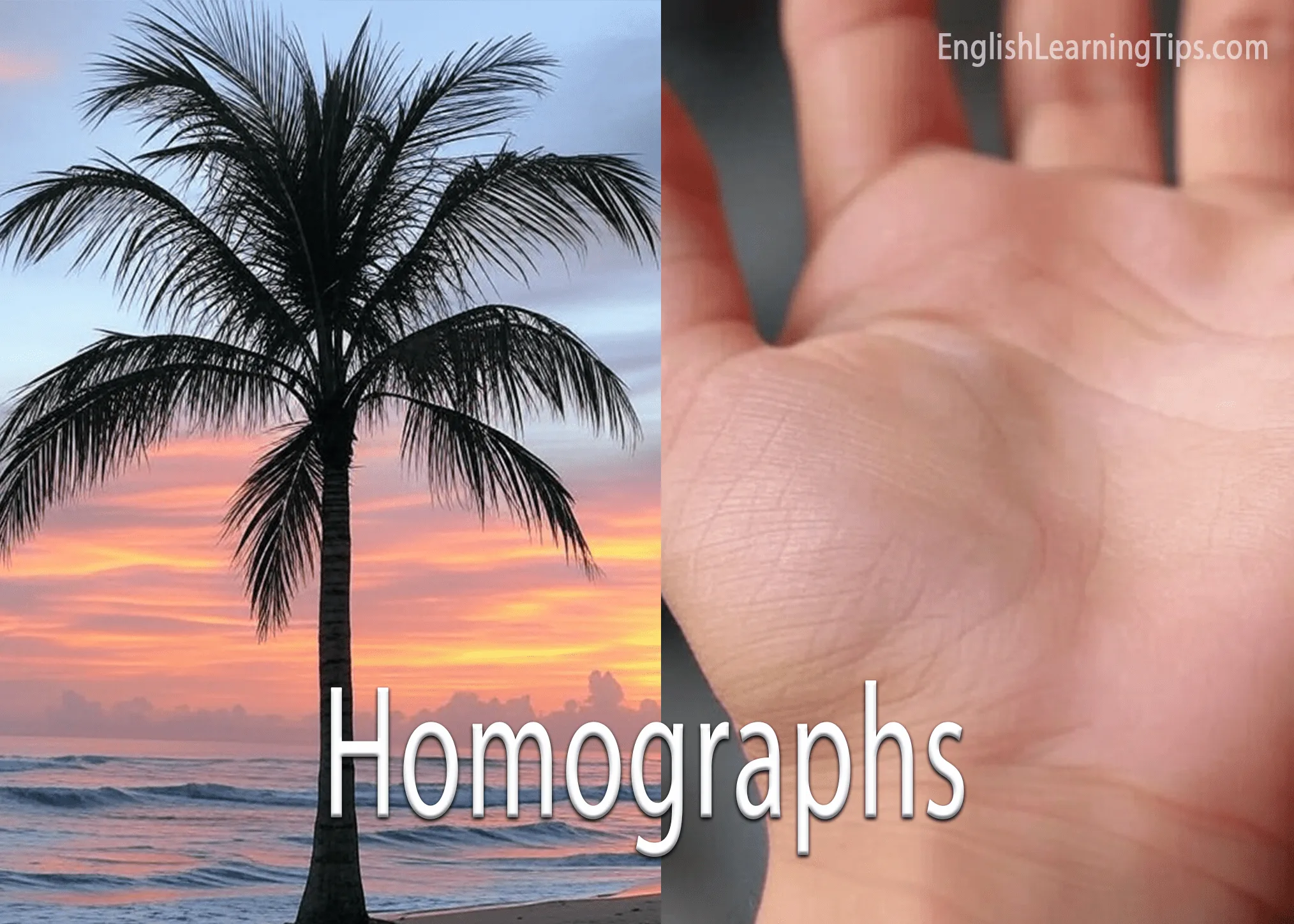 Homographs in English