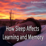 A man sleeping peacefully outdoors against a desert sunset, illustrating how sleep affects learning and memory.