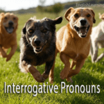 Several dogs running through a green field with the text "Interrogative Pronouns" overlaid on the grass.