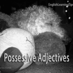 A white curly-haired dog sleeping on a plush toy with the text overlay "Possessive Adjectives" to demonstrate grammar usage.