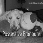 A fluffy dog resting its head on a large stuffed toy animal, illustrating the concept of possessive pronouns.