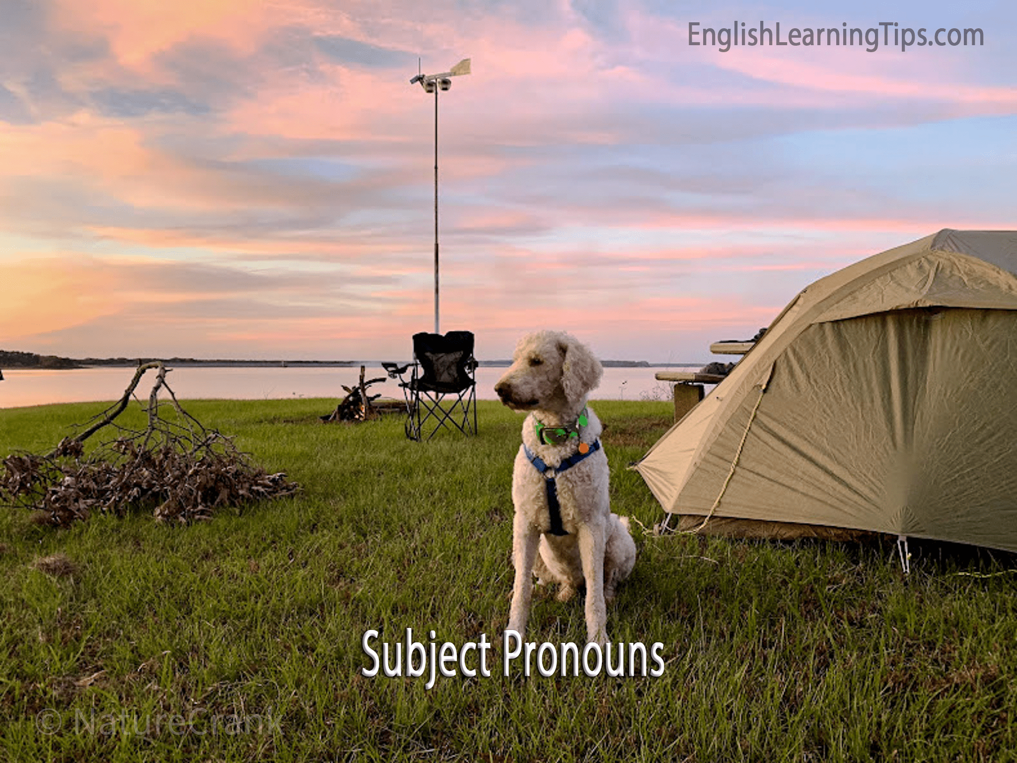 A white puppy sitting in front of a tent at a campsite with text overlay reading Subject Pronouns.