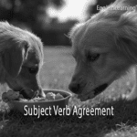 Two dogs eating from a bowl illustrating a subject-verb agreement grammar example.