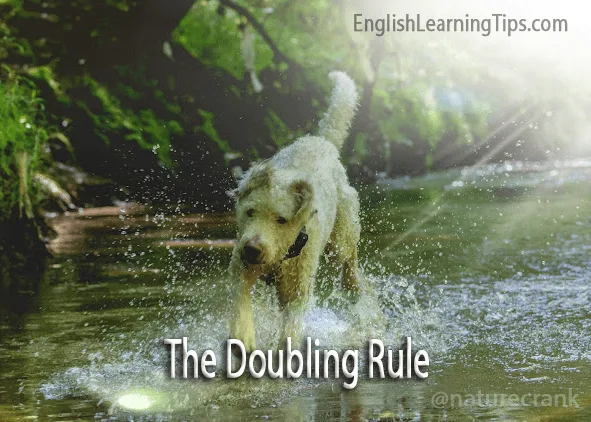 A white dog running through a stream with the text "The Doubling Rule" overlaid, illustrating the spelling rule for the word running.