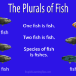 The Plurals of Fish