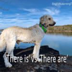 A large white dog standing on a rock by a lake with text overlay saying there is vs there are.