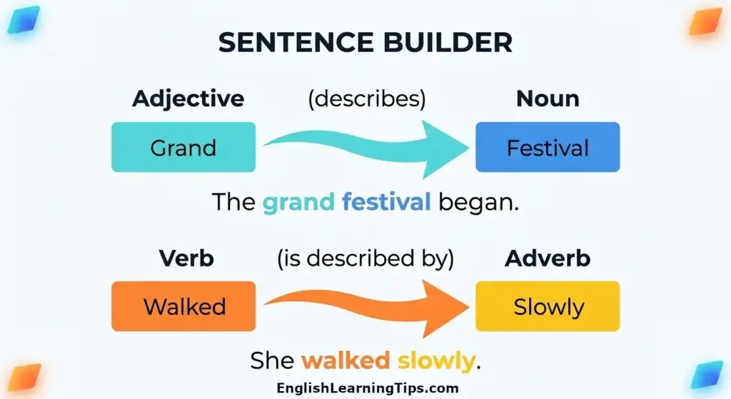 A color-coded visual diagram showing how an adjective descriptions a noun ('Grand' to 'Festival') and an adverb descriptions a verb ('Slowly' to 'Walked') in English sentences