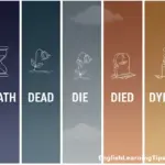 A visual chart illustrating the differences between the words death, dead, die, died, and dying using icons and color-coded sections.