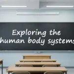 Classroom chalkboard with the text "Exploring the human body systems" for an ESL lesson plan.